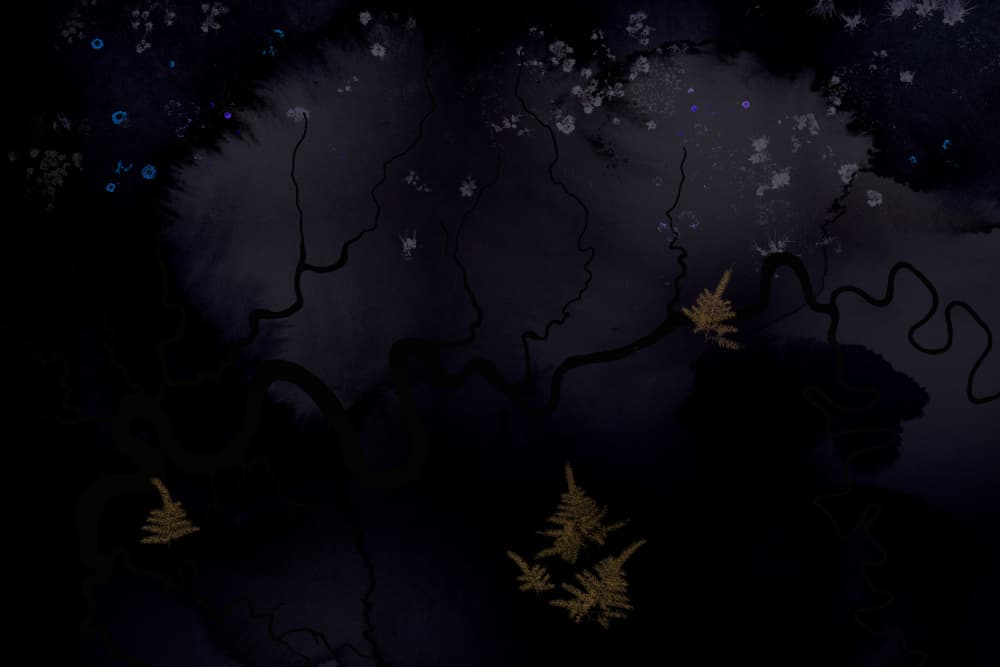 Dark Forest Glow by Miriam Stayte — canvas wall art