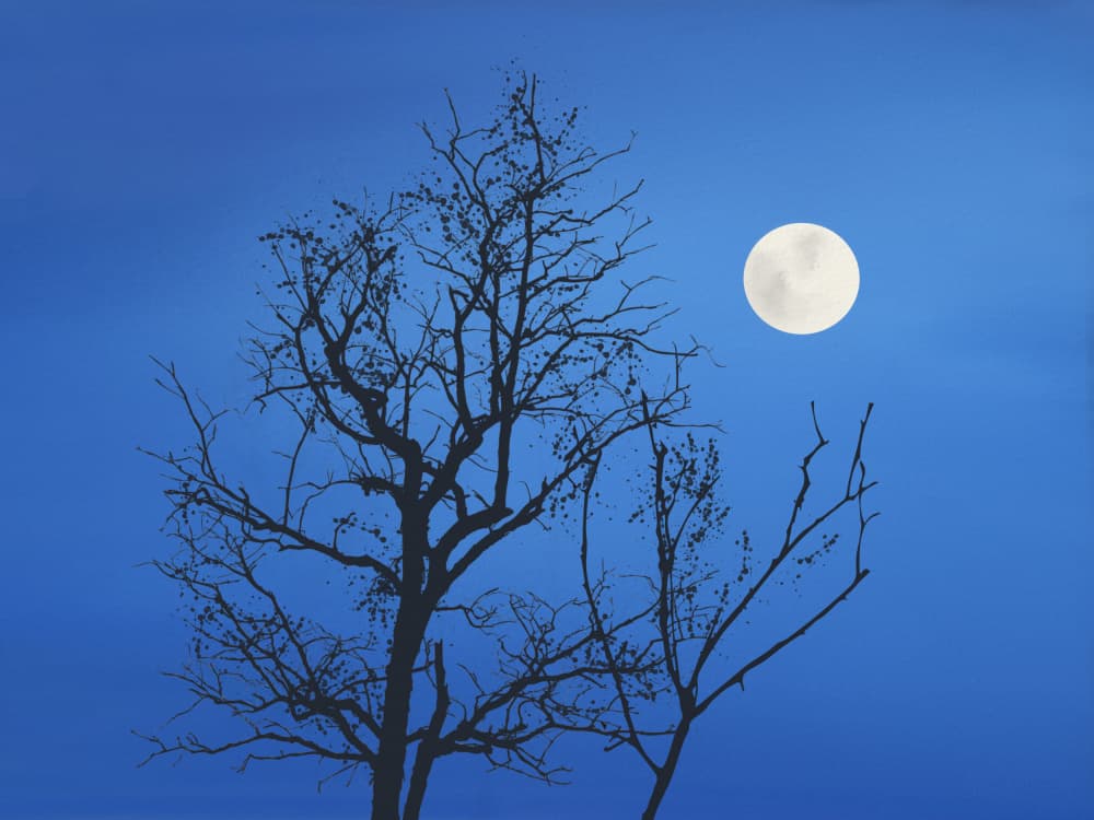 Moonlit Tree Silhouette by Little Dean — canvas wall art