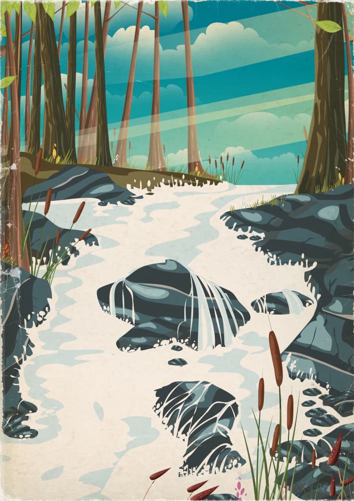 Sunlit Forest River by Nicholas — canvas wall art
