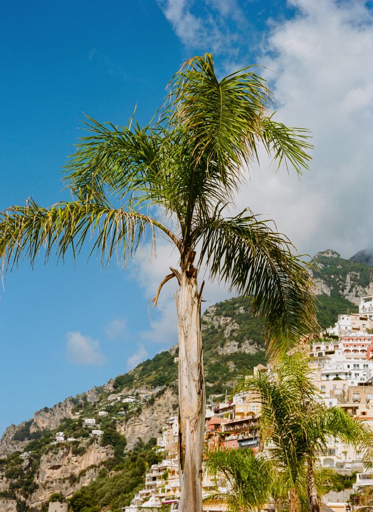 Palm Tree Coastal Town by Bethany Young — canvas wall art