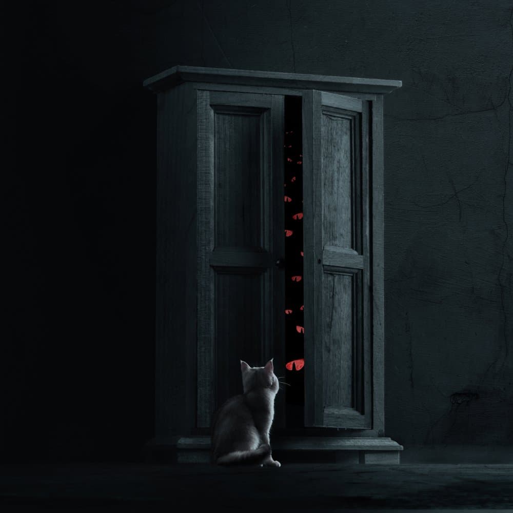 Closet by Terry F — canvas wall art