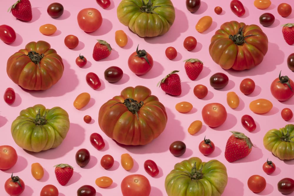 Fresh Pink Medley by Julia Ramiro — canvas wall art