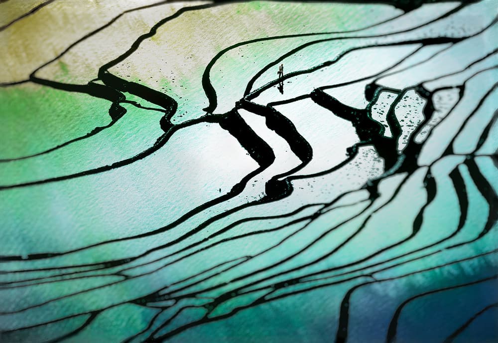 Abstract Rice Terraces by Shenshen Dou — canvas wall art