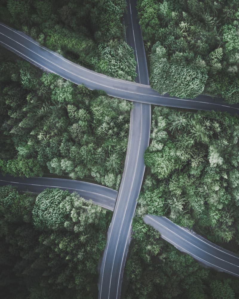 Winding Forest Roads by Marcus Hennen — canvas wall art