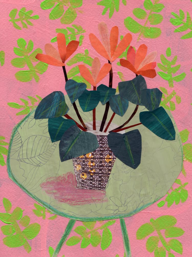 Vibrant Cyclamen Plant by Shelley Hampe — canvas wall art