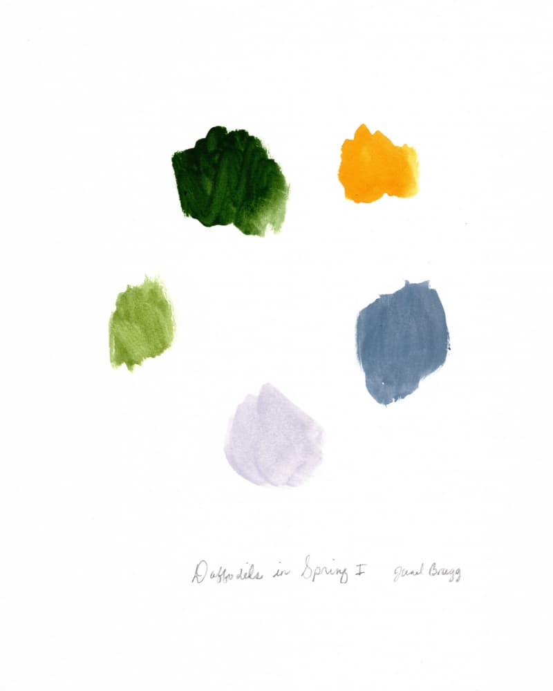 Spring Color Palette by Janel Bragg — canvas wall art