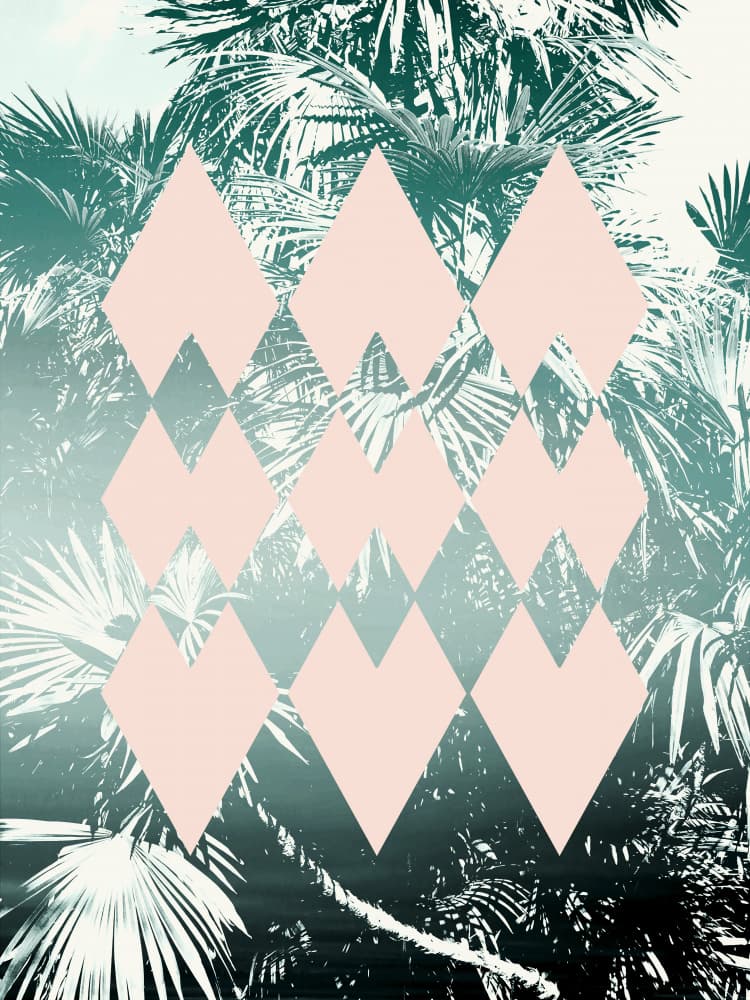 Pink Tropical Diamonds by Gemma Bardot — canvas wall art
