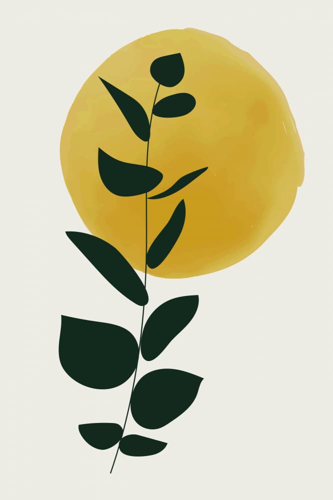 Golden Sun Leaf by jay stanley — canvas wall art