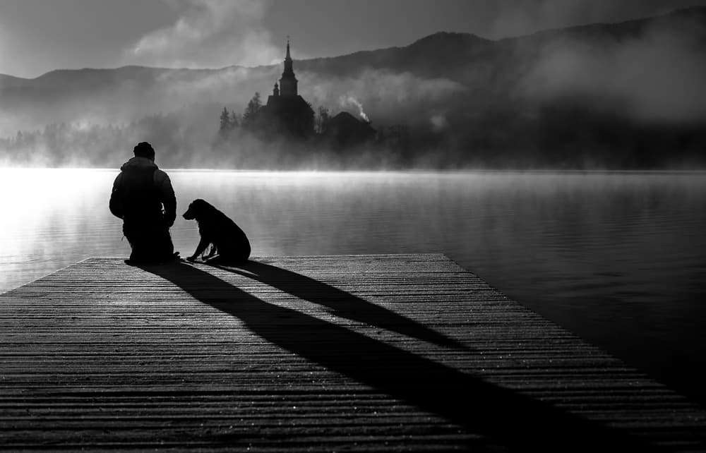 Misty Lake Companions by Sandi Bertoncelj — canvas wall art
