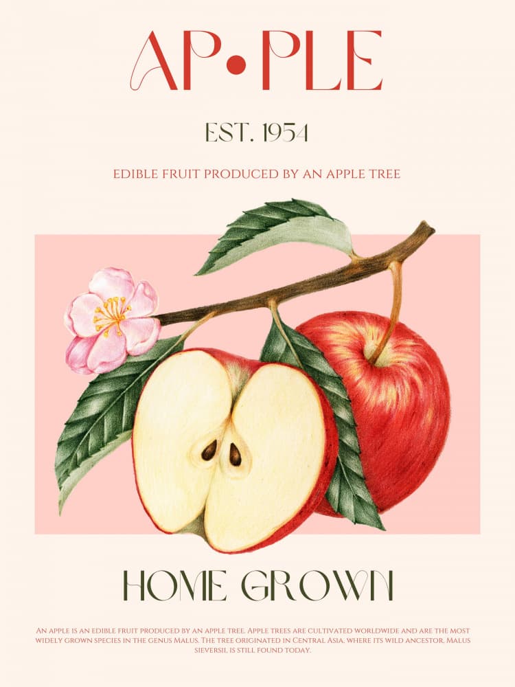 Apple Home Grown by Nazma Khokhar — canvas wall art