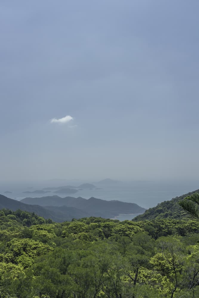 Serene Coastal Mountain View by Lynann Colligan — canvas wall art