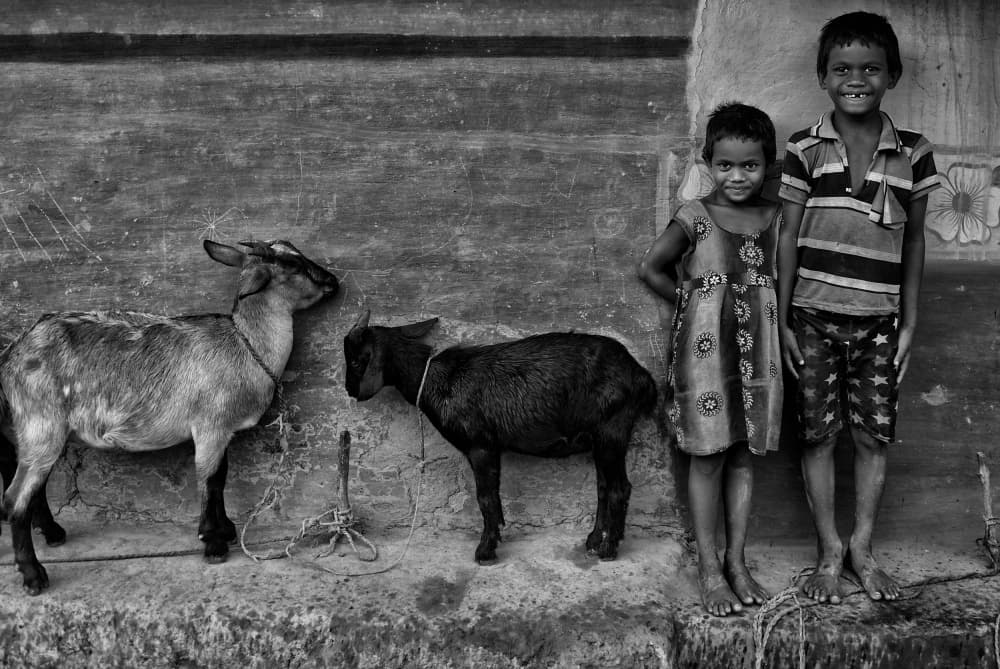 Smiling Children Goats by Avishek Das — canvas wall art