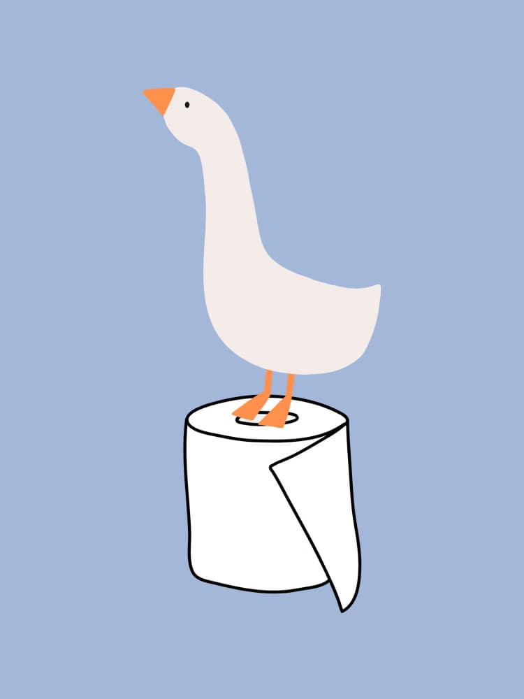 Goose on a Roll by Jolly and Dash — canvas wall art