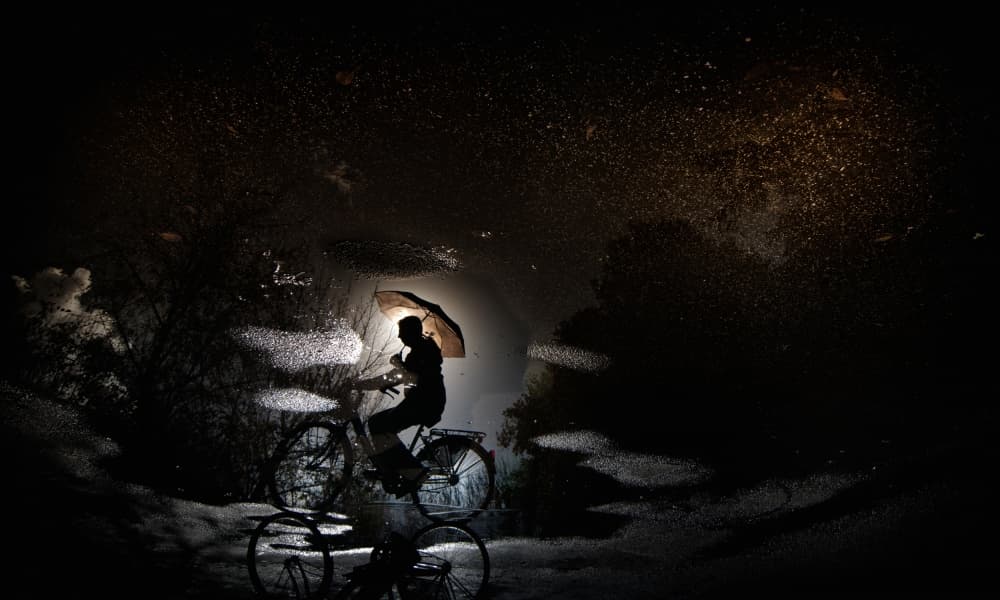 Rainy Night Umbrella Rider by Antonio Grambone — canvas wall art