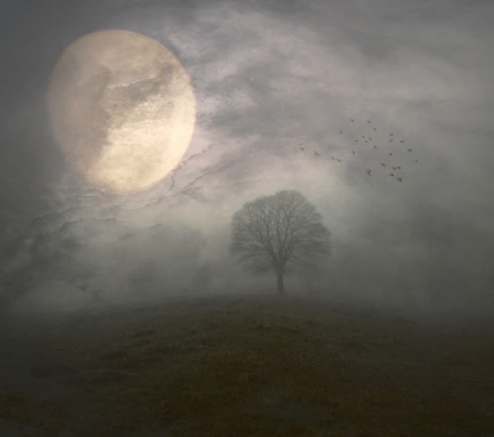 Misty Moonlit Night by Robert Fabrowski — canvas wall art