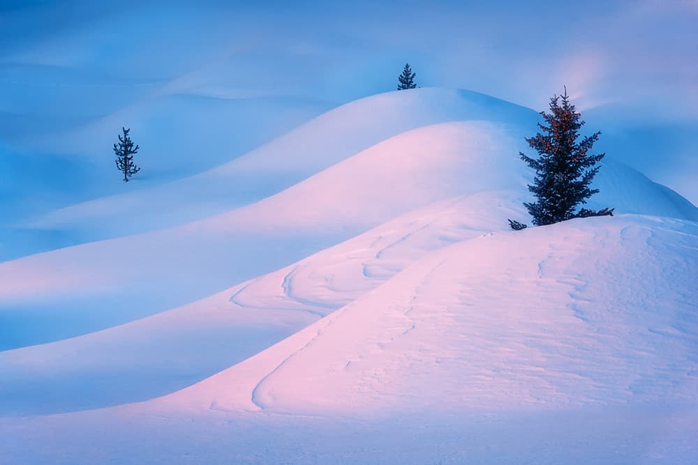 Pink Blue Winter Landscape by Mei Xu — canvas wall art