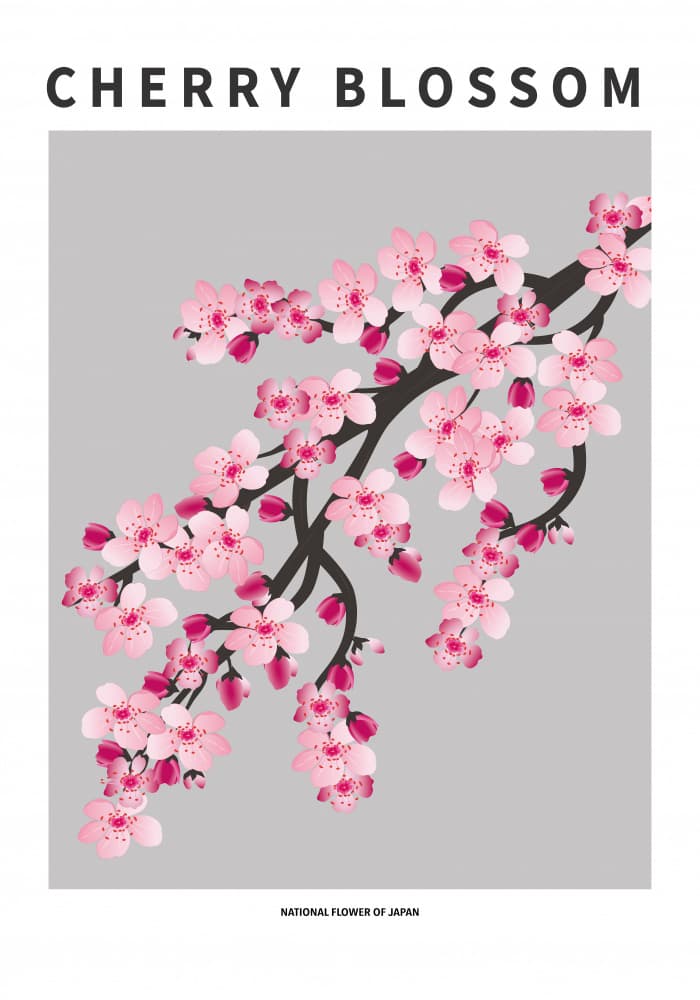 Cherry Blossom Branch by Paperago — canvas wall art