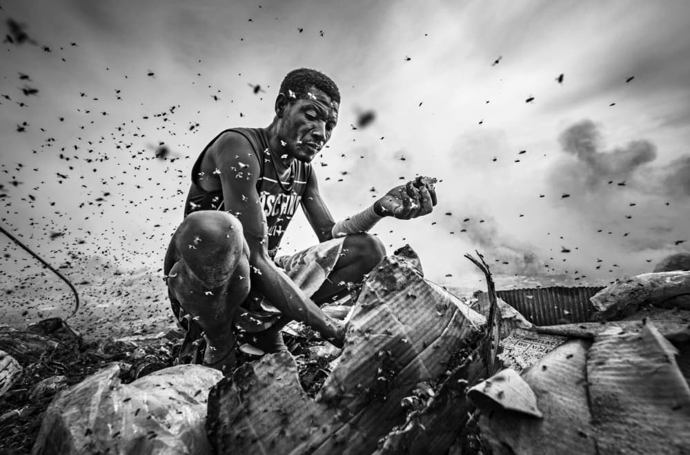 Man Amidst Flies by João Coelho — canvas wall art