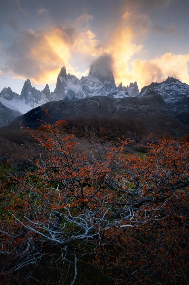 Fitz Roy Autumn Glow by Yongnan Li (李永男) — canvas wall art