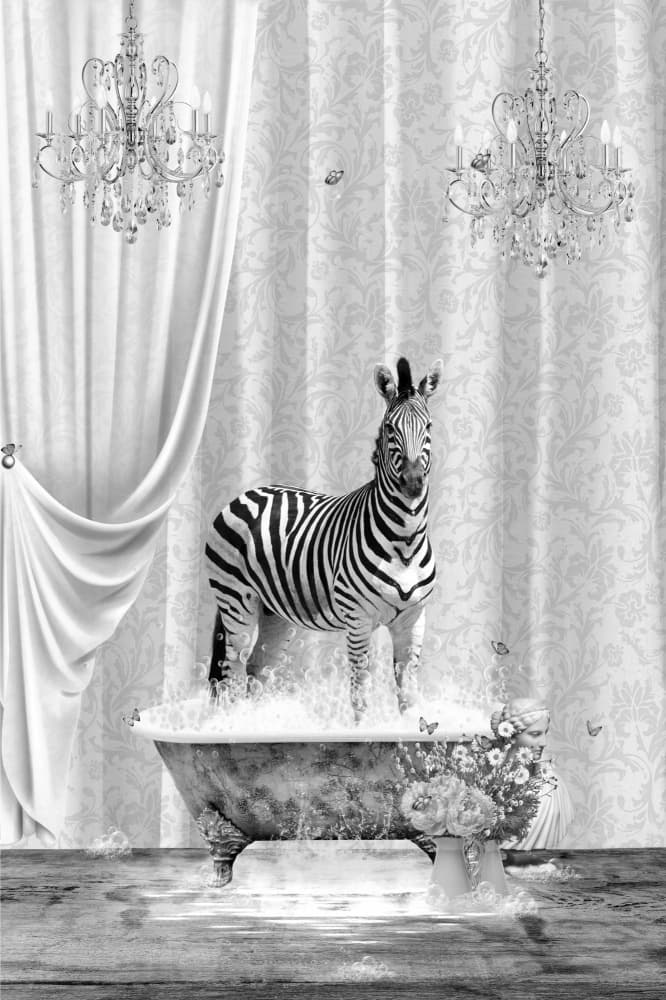 Surreal Zebra Bath by Sue Skellern — canvas wall art