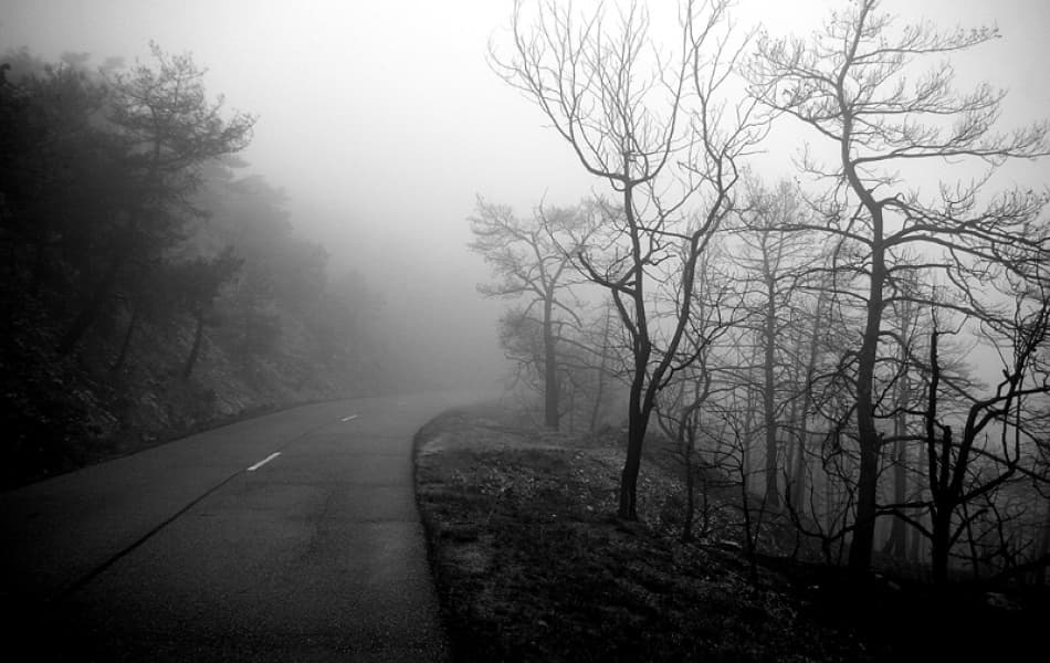 Winding Foggy Road by Bror Johansson — canvas wall art