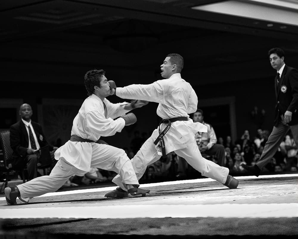 Powerful Karate Punch by Marcel Rebro — canvas wall art