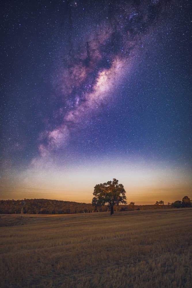 Milky Way Lone Tree by HIRAK BHATTACHARJEE — canvas wall art