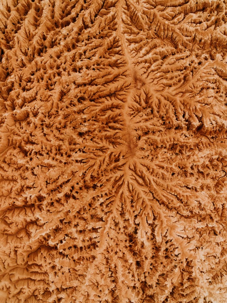 Eroded Earth Patterns by Javier Pardina — canvas wall art