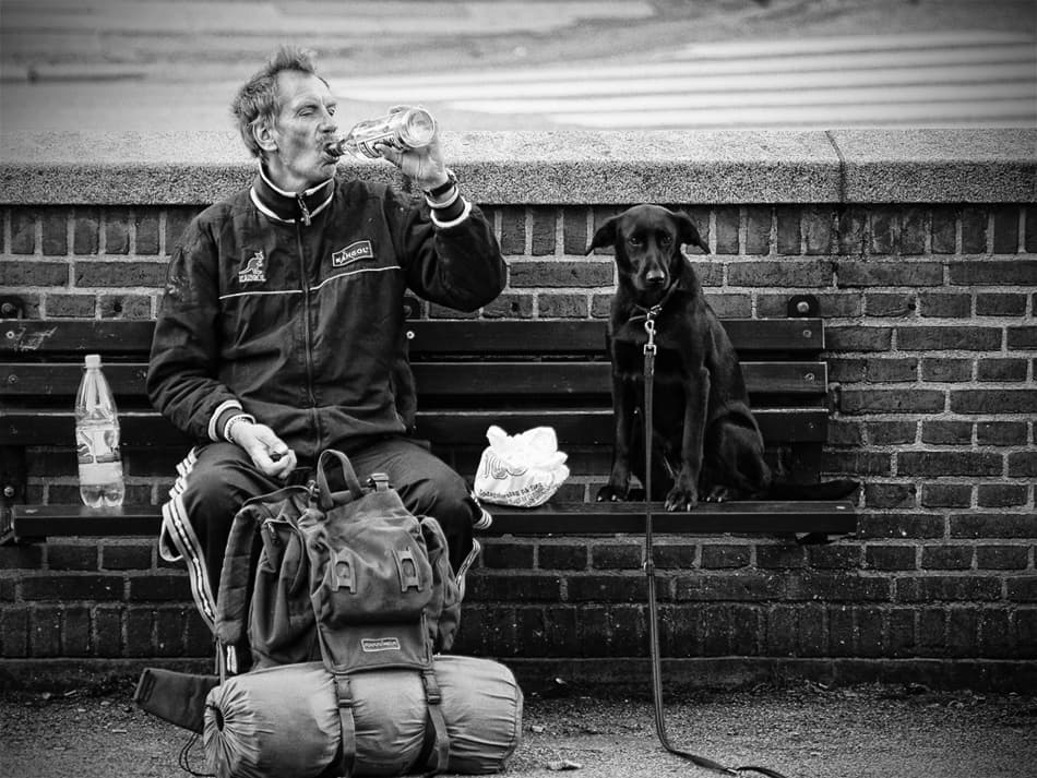Man and Loyal Dog by Stefan Nielsen — canvas wall art