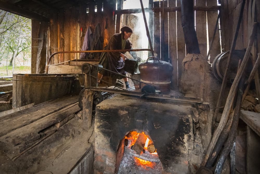 Traditional Fire Still by Adrian Popan — canvas wall art