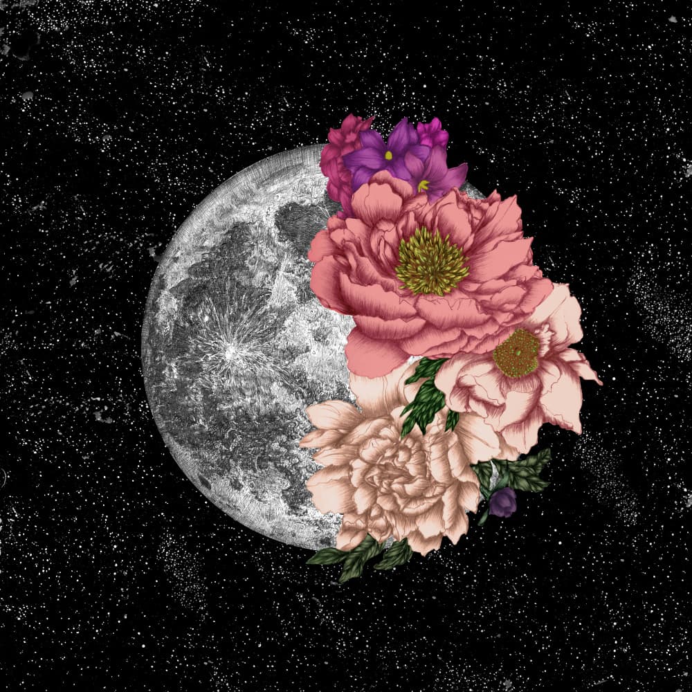 Moon Bloom by EC Mazur — canvas wall art