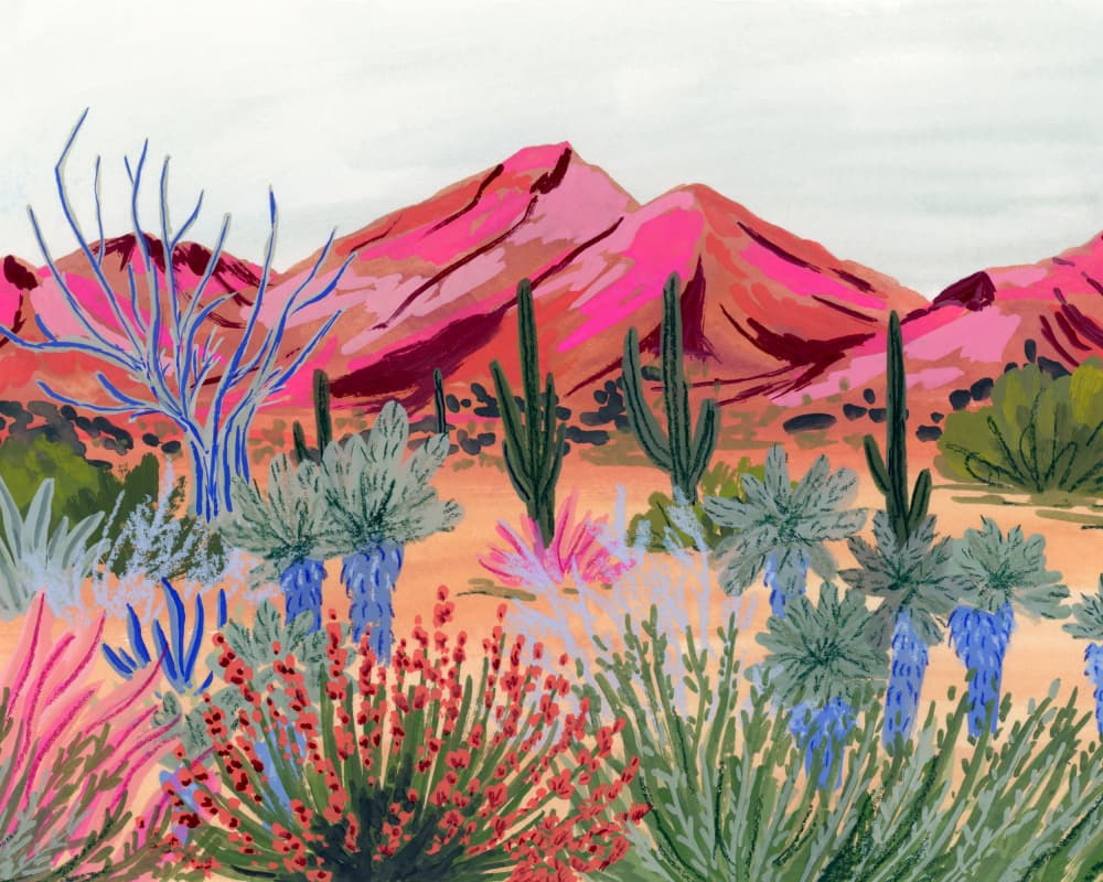 Colorful Desert Vista by Sarah Gesek — canvas wall art