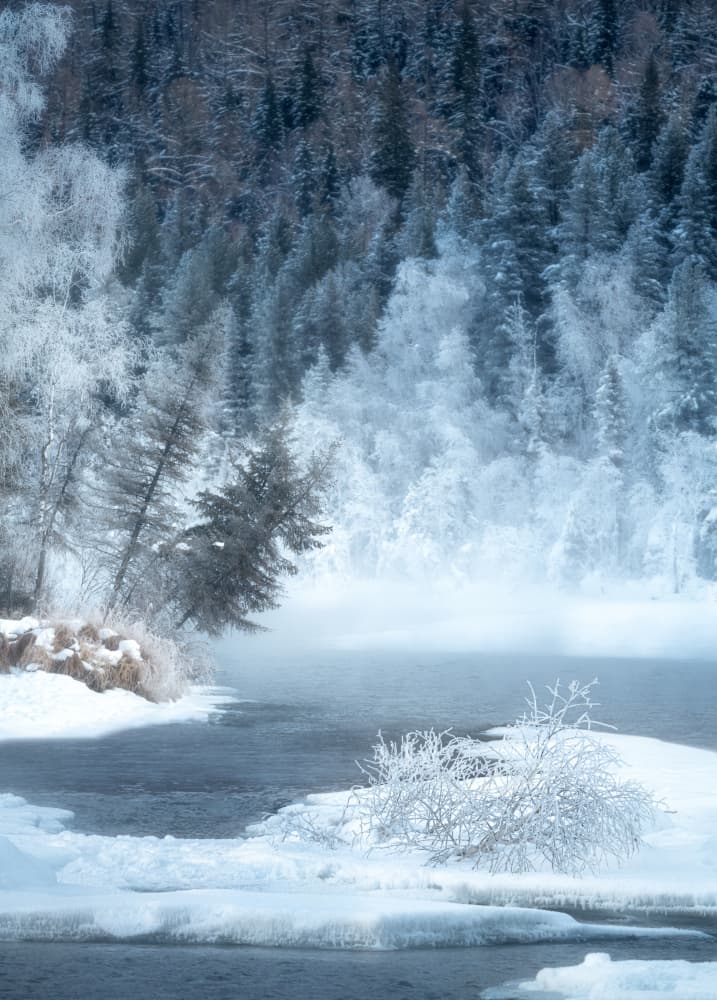 Misty Winter Lake by Damon Hao — canvas wall art