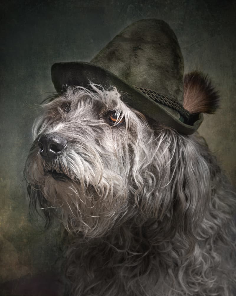 Dapper Dog in Hat by Hans Repelnig — canvas wall art