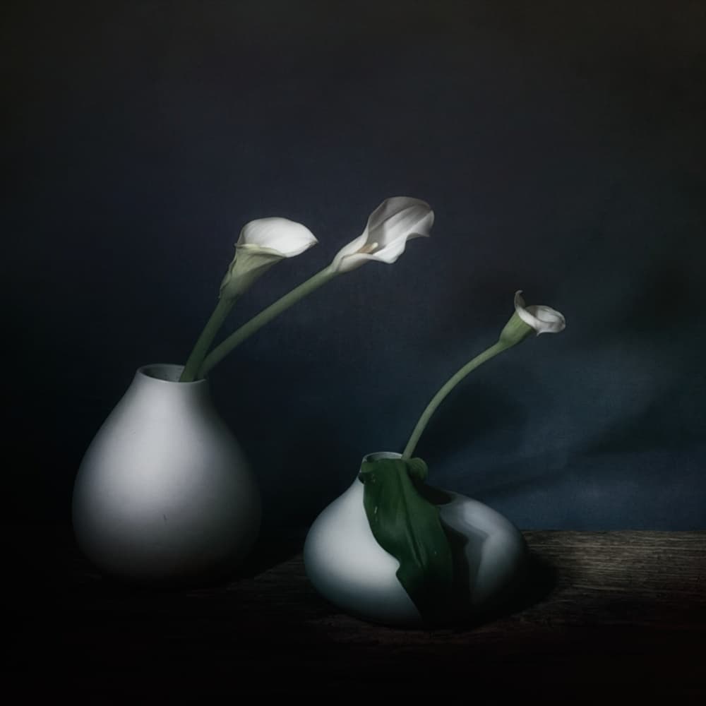 Moody Calla Blooms by Saskia Dingemans — canvas wall art