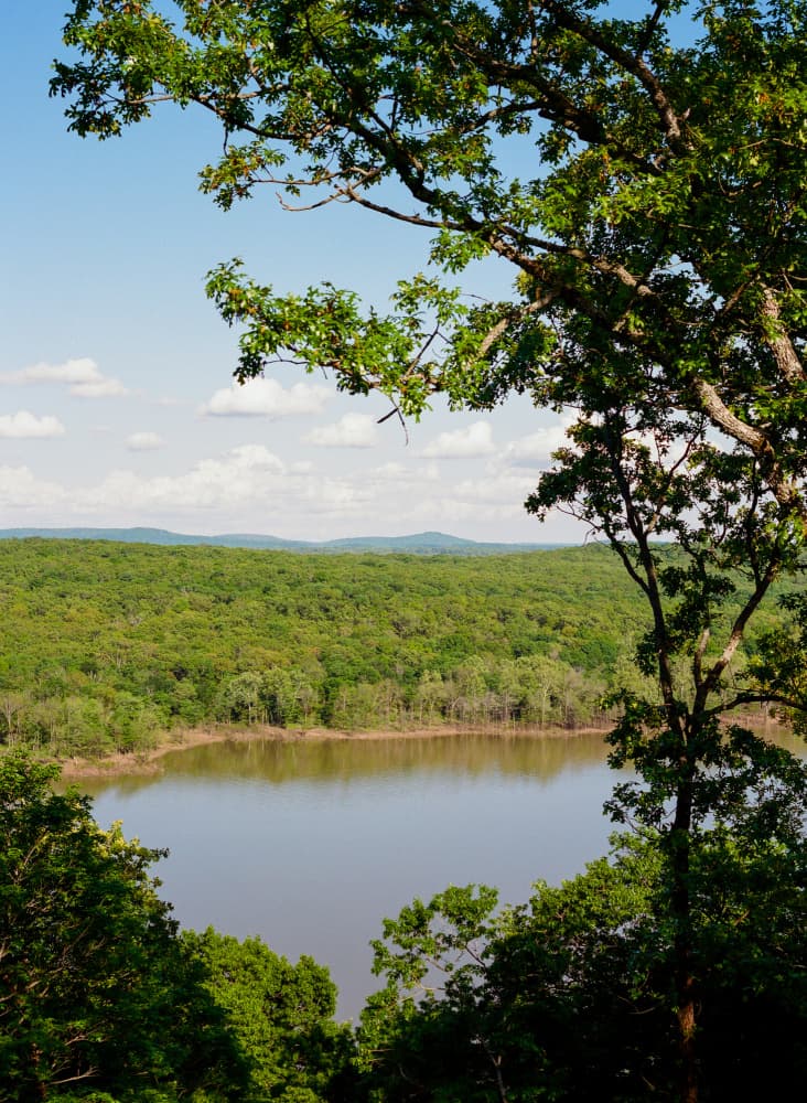 Forest Lake Vista by Bethany Young — canvas wall art