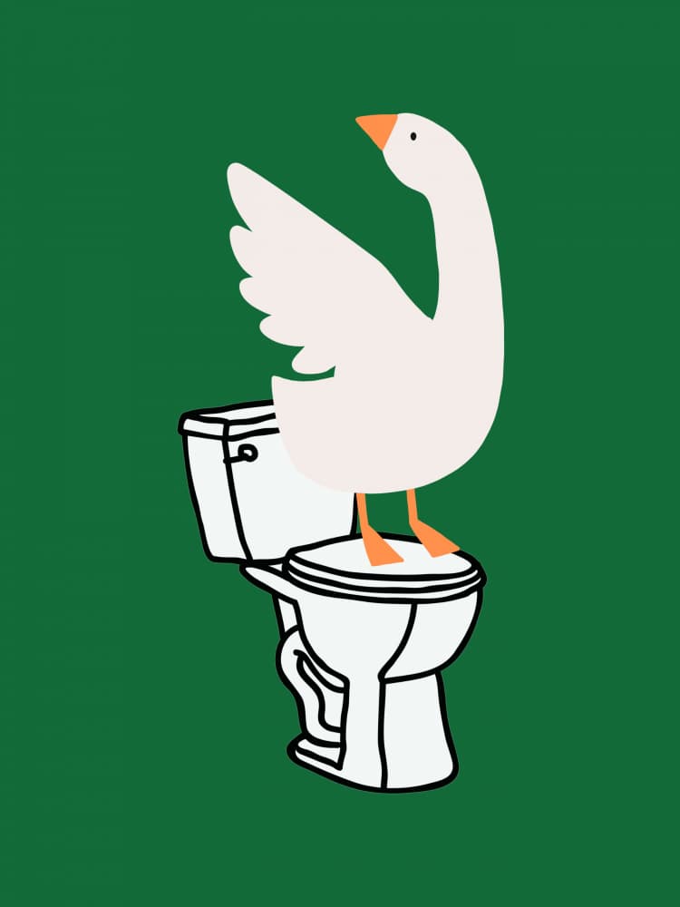 Silly Goose Toilet by Jolly and Dash — canvas wall art