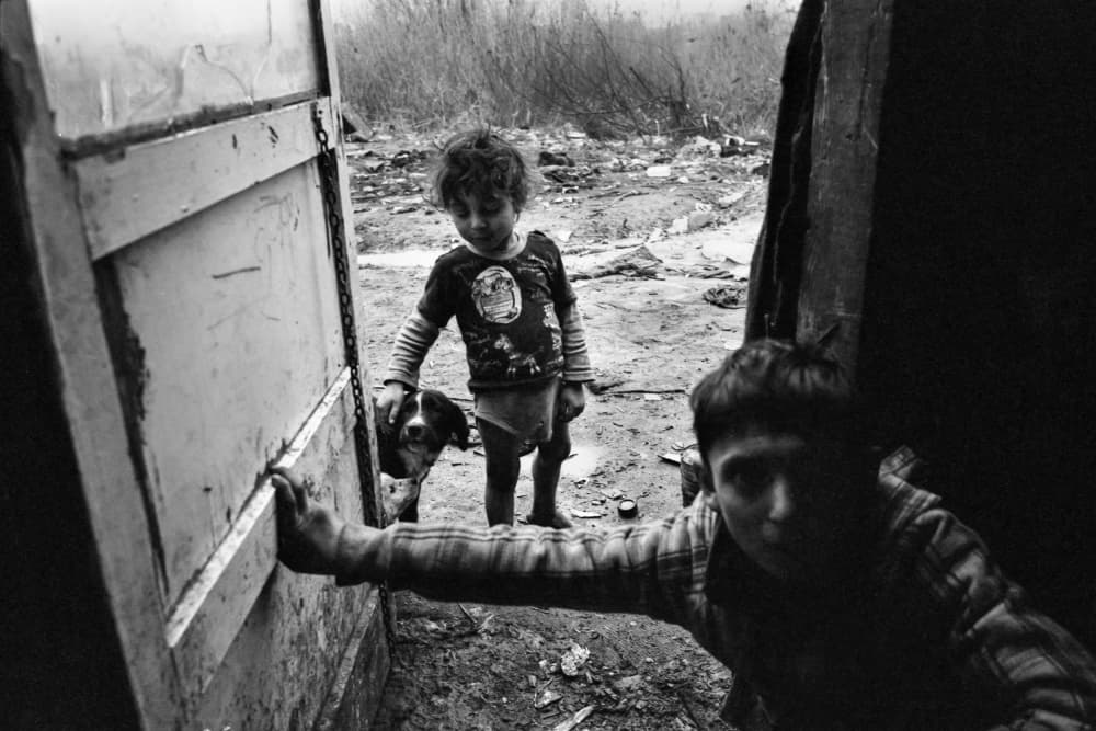 Young Boys and Dog by Sorin Vidis — canvas wall art