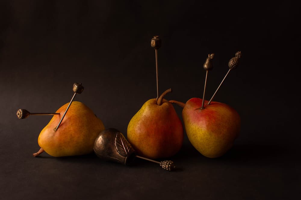 Moody Harvest Fruits by Ludmila Shumilova — canvas wall art