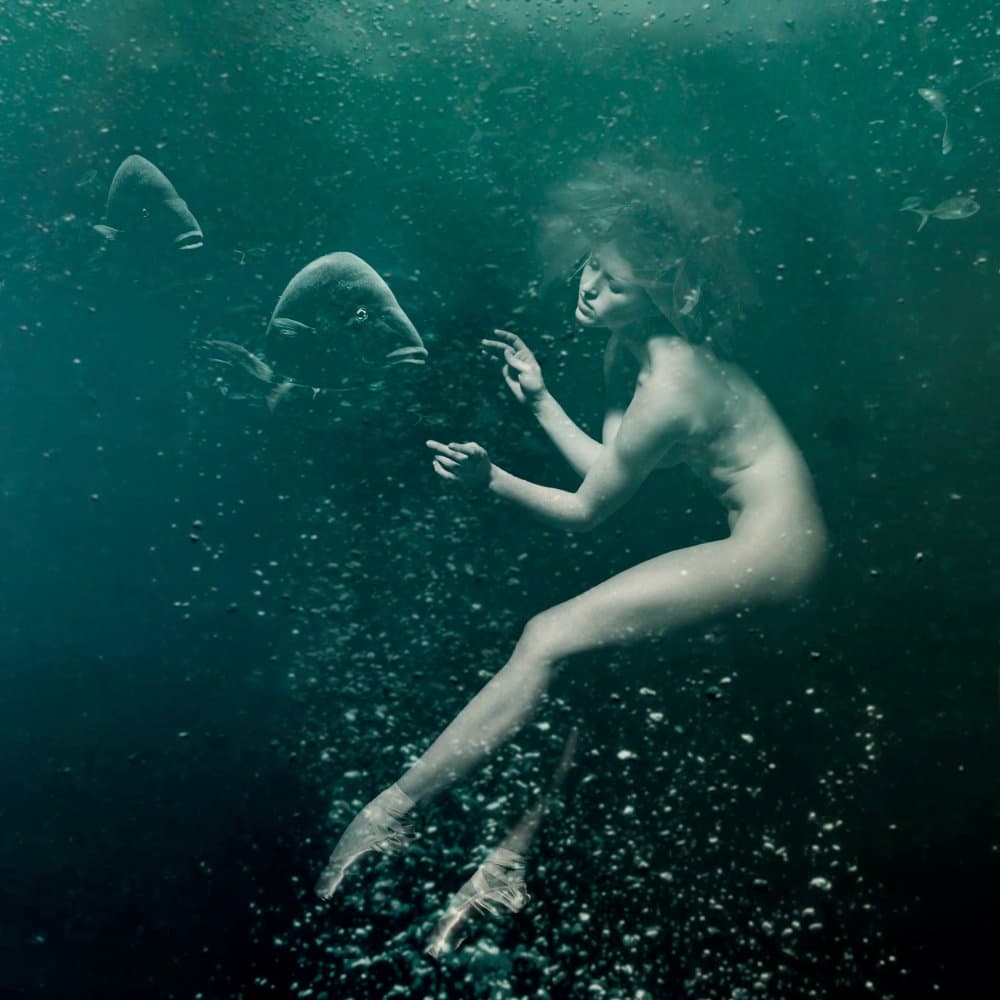 Underwater Nude and Fish by miriana — canvas wall art