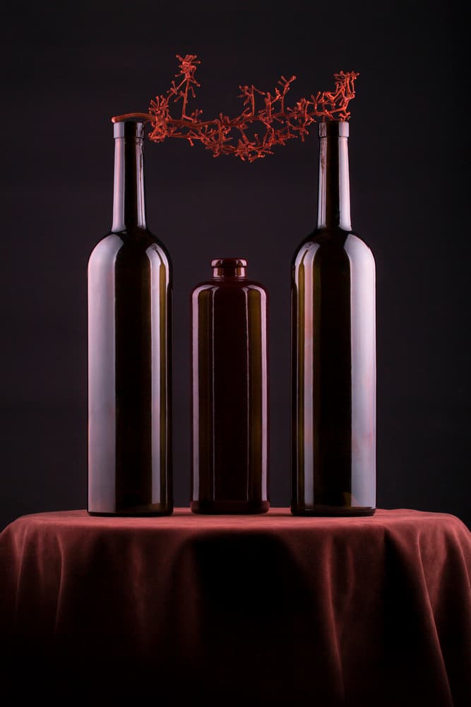 Red Branches and Bottles by Brig Barkow — canvas wall art