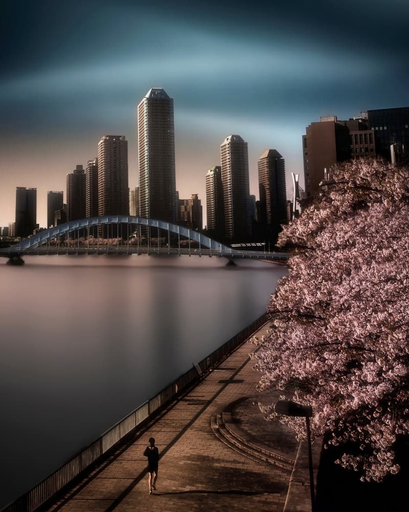 Urban Blossom Runner by Amatou T — canvas wall art