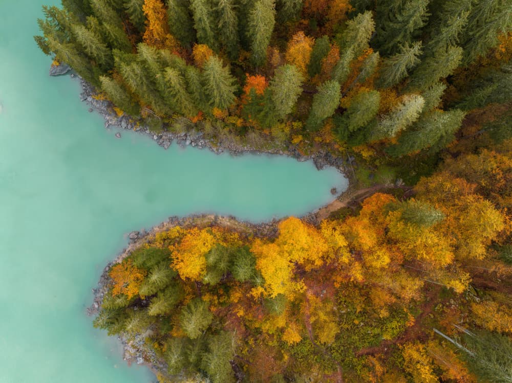Vibrant Autumn Lake by Ales Krivec — canvas wall art