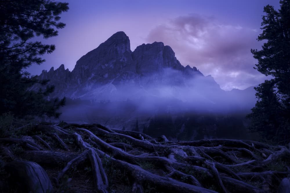 Misty Mountain Roots by Martin Morávek — canvas wall art