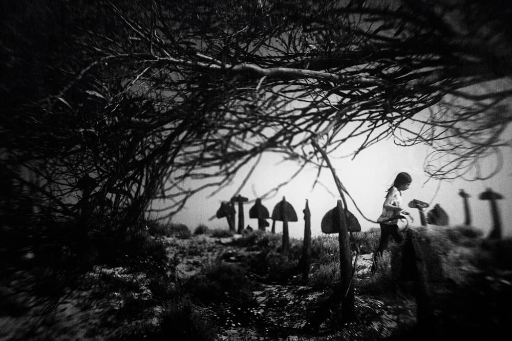 Girl In Mushroom Cemetery by Laura Mexia — canvas wall art