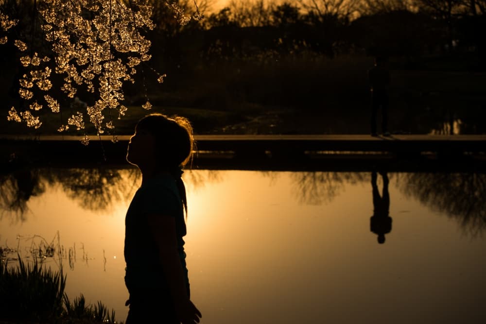 Girl's Golden Reflection by Kouji Tomihisa — canvas wall art