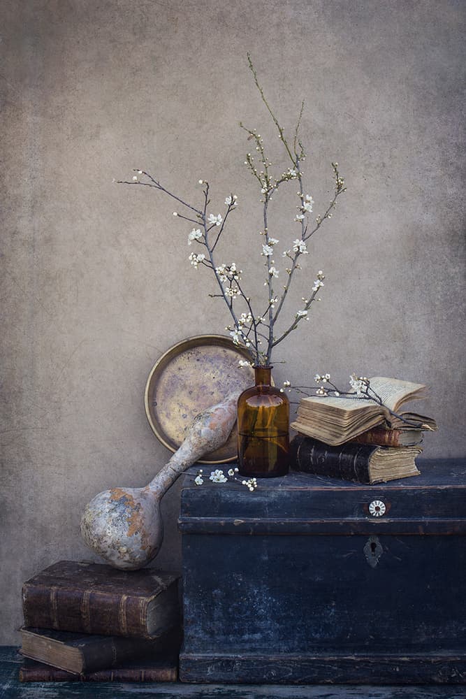 Antique Books and Blooms by Dimitar Lazarov - Dim — canvas wall art