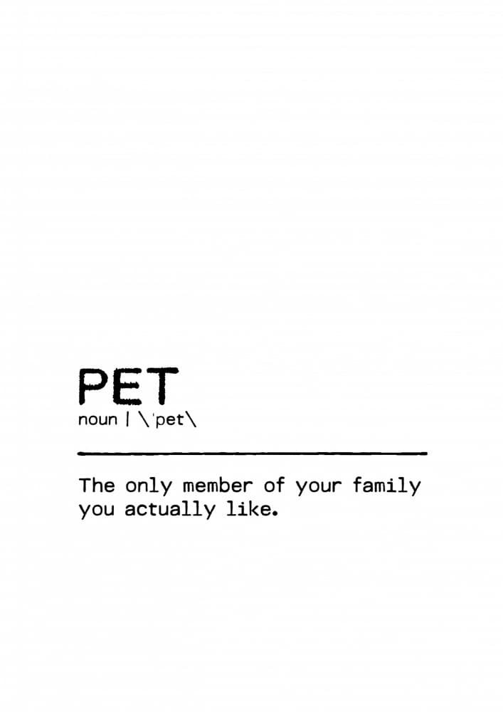 Witty Pet Definition by Orara Studio — canvas wall art