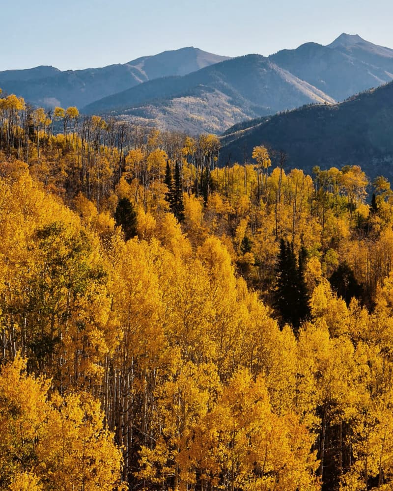 Golden Autumn Mountainside by Del Mundo Imagery — canvas wall art