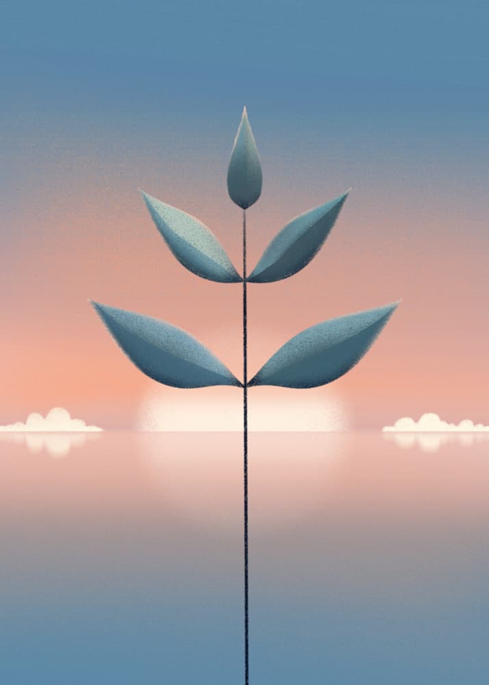 Peaceful Plant Horizon by Fadil Roze — canvas wall art